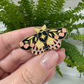Masu Pin