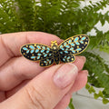 Masu Pin